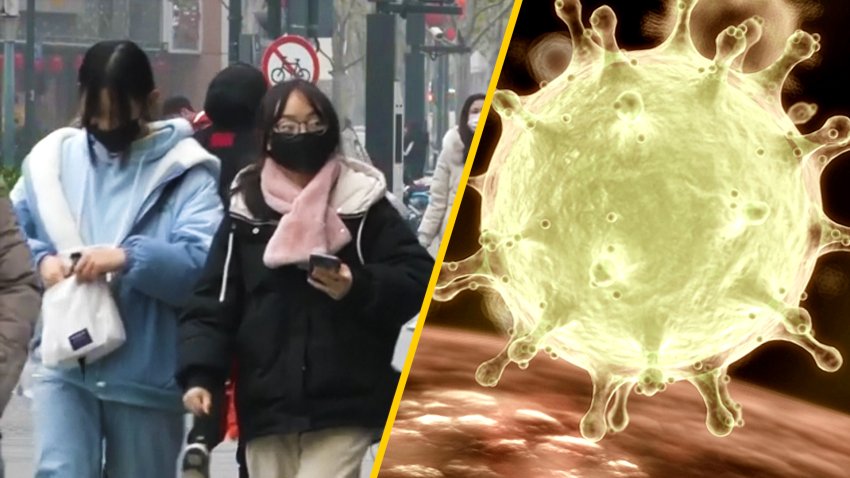 What Is the Coronavirus?