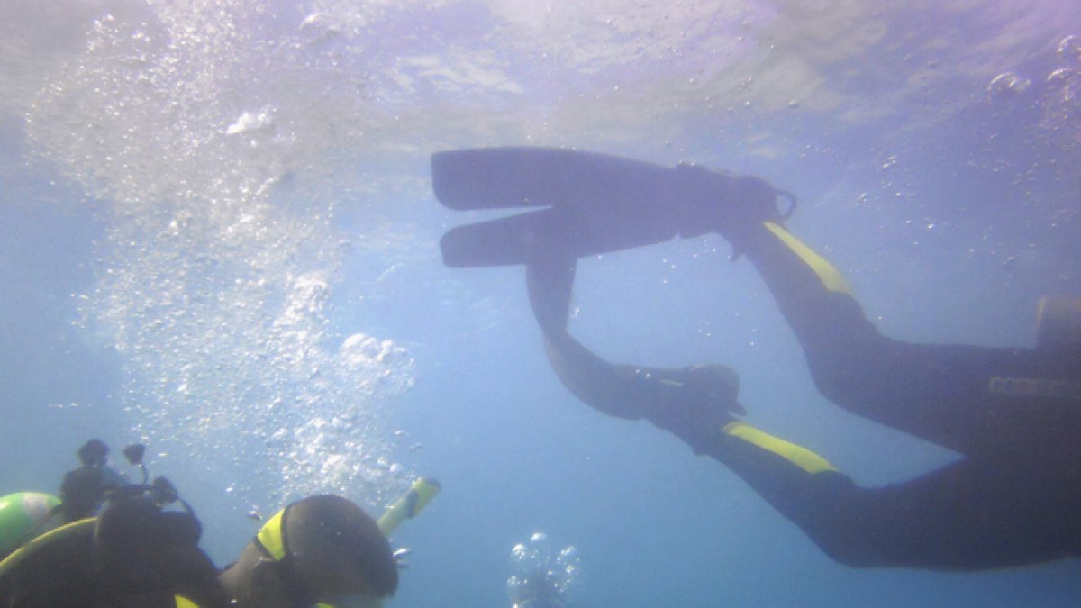 scuba diving deaths