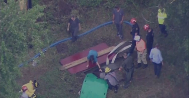 Workers Free Horse That Fell Into Septic Tank Hole In