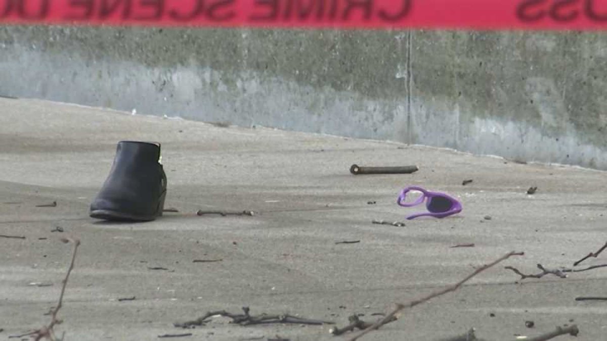 What to Know Tragic Deaths of 2 Young Children, Woman in Roxbury NBC