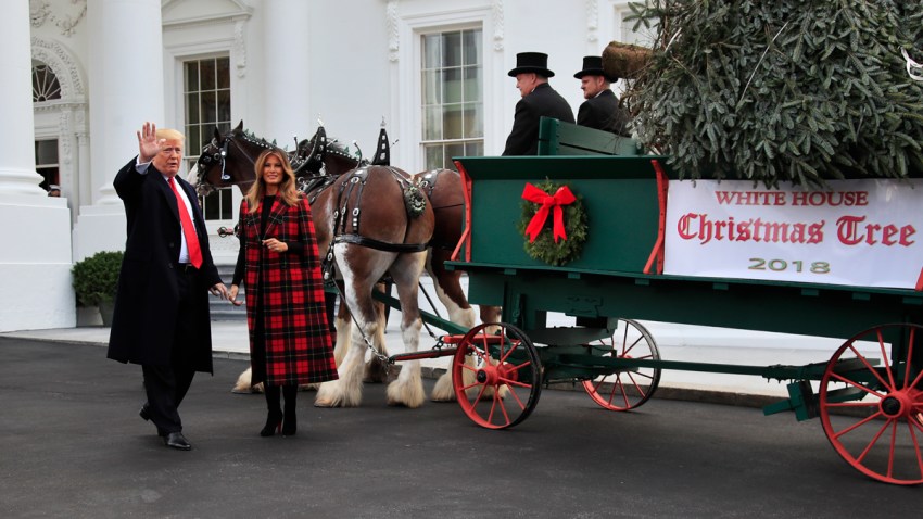 Trump White House Tree