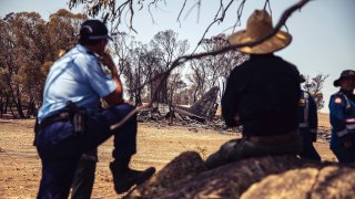 new south wales police