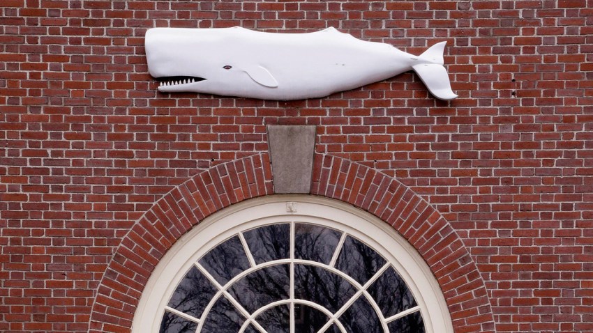 Moby-Dick Marathon
