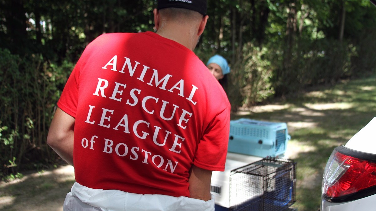 2 Dozen Animals Seized From Squalid Conditions In Middleboro