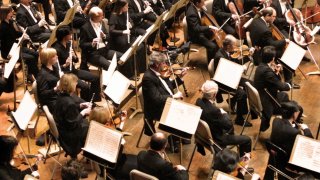 BSO (Michael Lutch)
