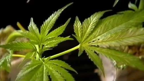 Bakers_Vape_Ban_to_Be_Lifted_for_Medical_Marijuana_Users.jpg