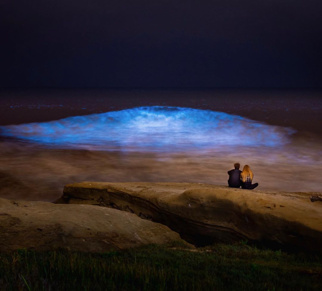 Bioluminescence in La Jolla