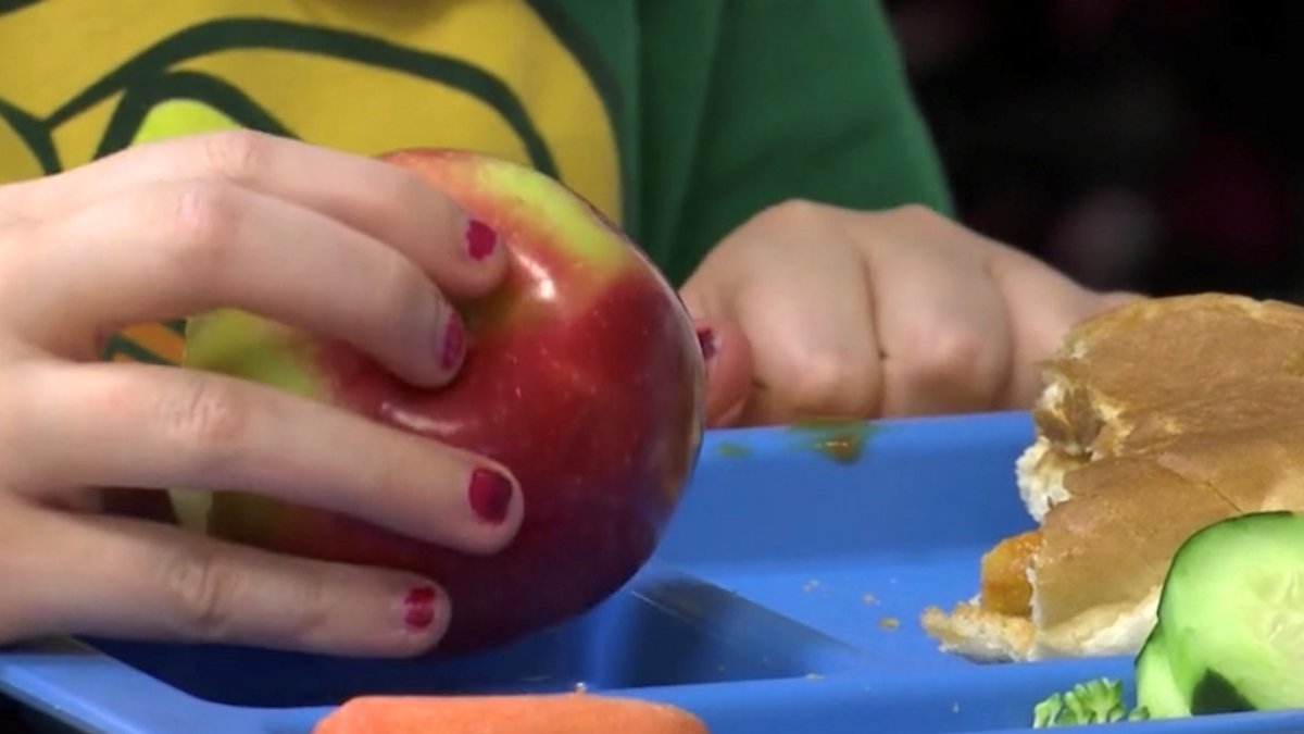 Statistics on free school meals in Massachusetts – NBC Boston