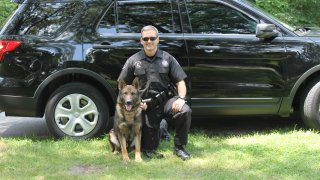Officer Ken Wood and Canine Major in front of a black car