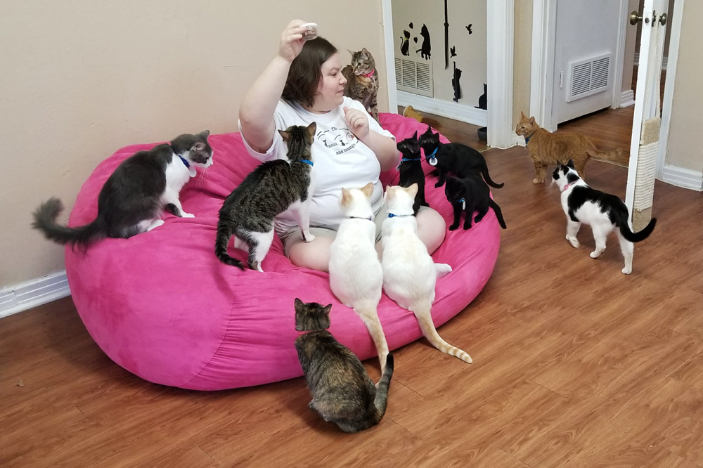 Cat Cafes New Purrfect Paradises For At Risk Shelter Cats Nbc Boston