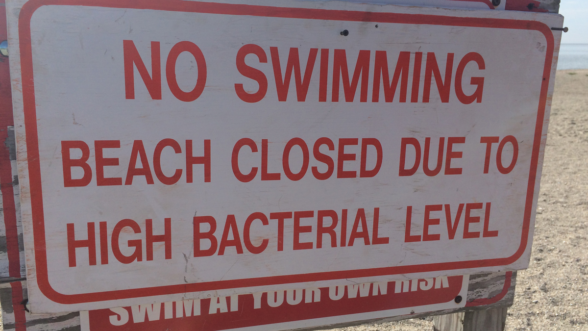 More Mass. beach closures over bacteria algae NBC Boston