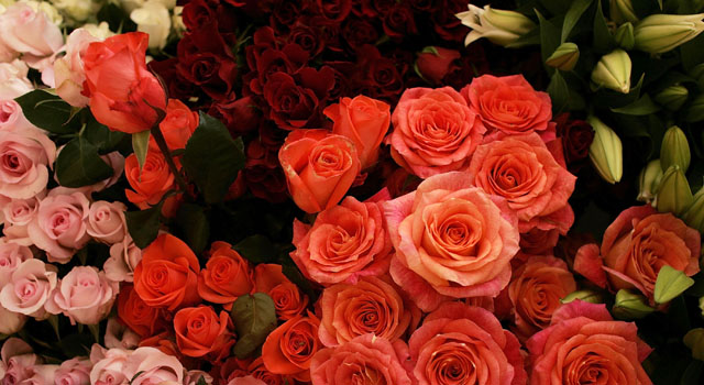 Generic Flowers 2