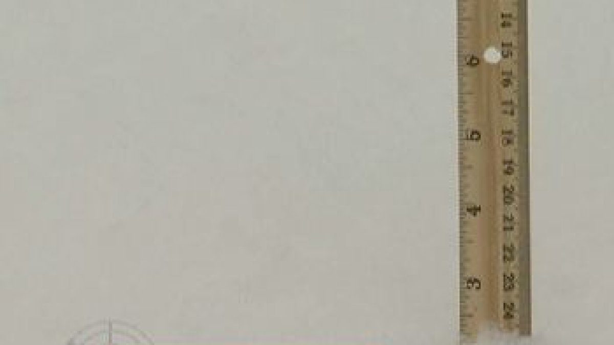 Snowfall Totals New England Overnight NBC Boston