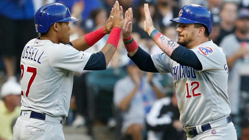 Museum Realizes Collection S Rare Elephant Bird Egg Is Real Nbc