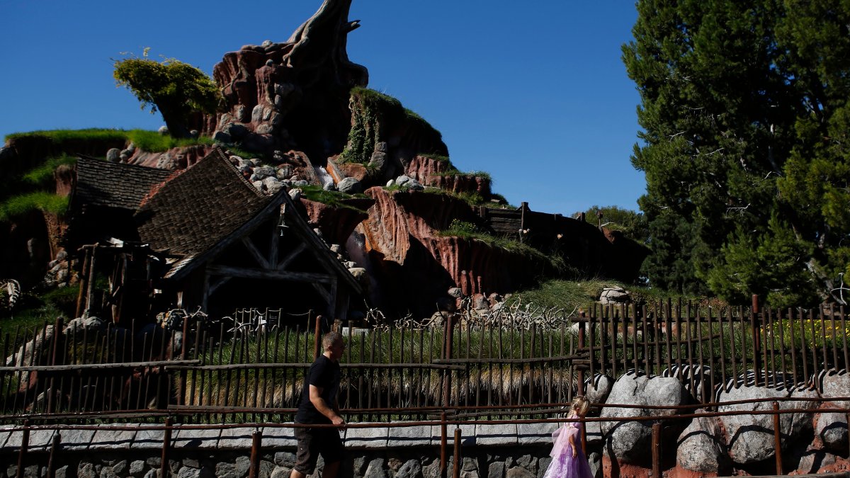 Disney Fans Call to Change Splash Mountain Theme Due to Racist Inspiration NBC Boston