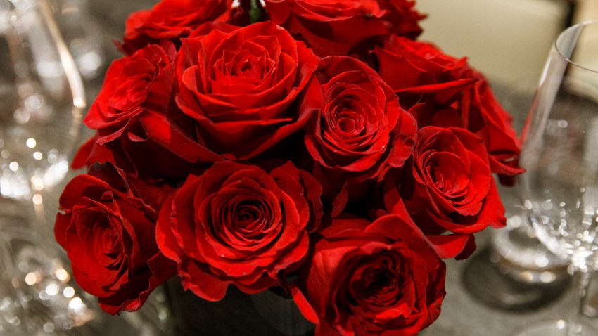 Red roses
