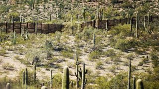The border fence is surrounded by cacti at Organ Pipe Cactus National Monument near Lukeville, Arizona
