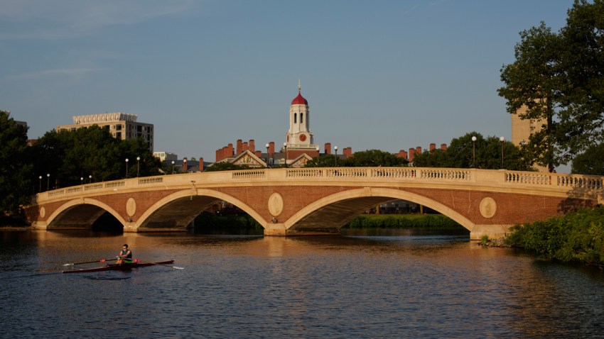 HARVARD MIT