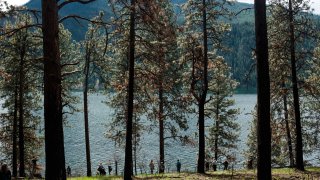 In this May 18, 2017, file photo, students from Lake City High School visit Farragut State Park in Idaho to learn about the effects that trees have on the environment just north of Coeur d'Alene, Idaho.