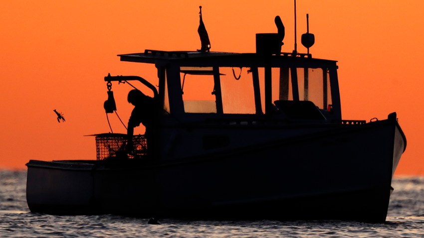 Lobster Exports