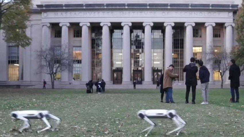 A video of robots at MIT went viral, garnering more than one million views.