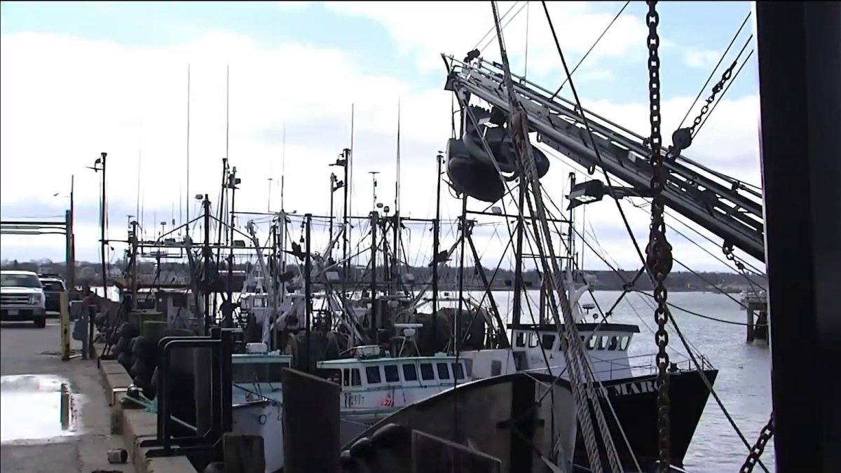 Fishermen Face Shutdowns as Global Warming Hurts Species