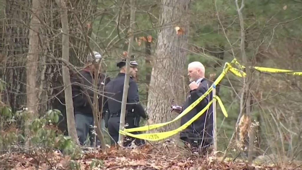 Man Killed While Working on Tree in Wakefield – NBC Boston