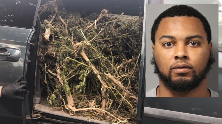 Marijuana Stolen Van Jaquell McDonald Dover