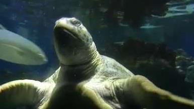new england aquarium promo code 2019