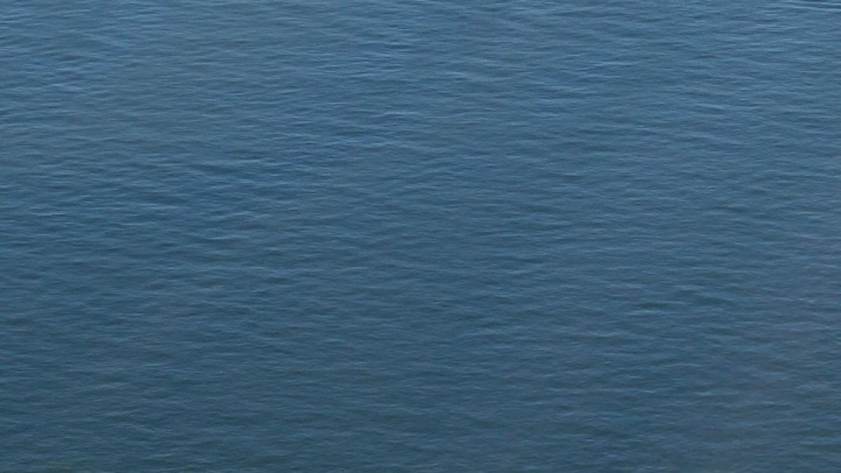 Cambridge man dies after being pulled from water off Martha's Vineyard