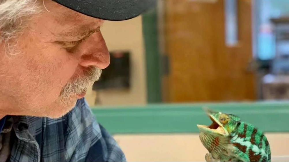 Uniquely Boston ‘Odd Pet Vet’ NBC Boston