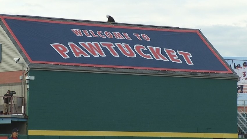 PawSox1
