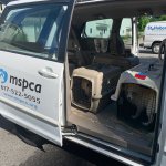 Photo 1_credit MSPCA_Angell