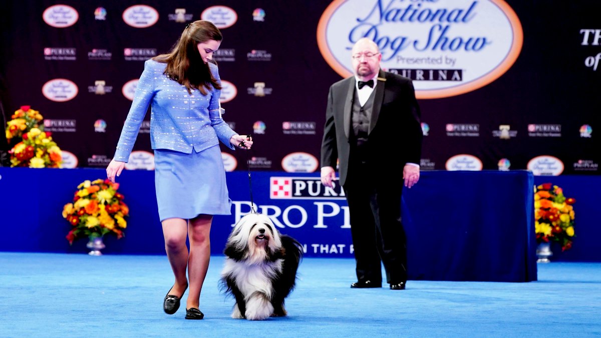 2021 National Dog Show History, Time, New Breeds, How to Watch and