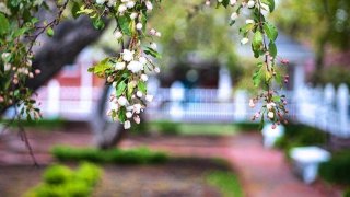 Prescott Park Gardens Portsmouth NH Eric Gendron