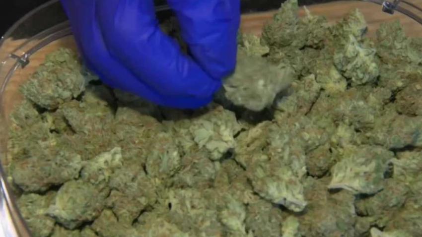 Recreational_Marijuana_Arrives_in_Massachusetts.jpg