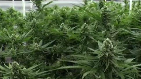 Sales_of_Recreational_Pot_in_Mass_Should_Start_Soon.jpg