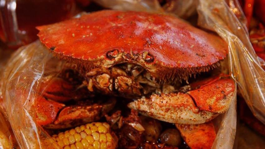 Shaking Crab77