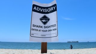 A shark sighting advisory sign. FILE