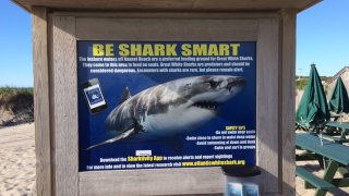 Shark warnings at Nauset beach