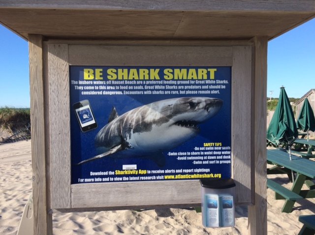 Shark warnings at Nauset beach