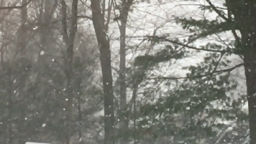 Snowflake_GIF