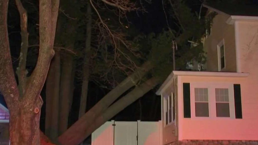 Https Www Nbcboston Com Multimedia Late Night Patton Oswalt Shares Stories Ap Bio Paula Pell 2 1980819 Late Night Patton Oswalt Shares Stories From Ap Bio Set Patton Oswalt Talks About Turning 50 And Working On The Set Of A P Bio With Paula Pell