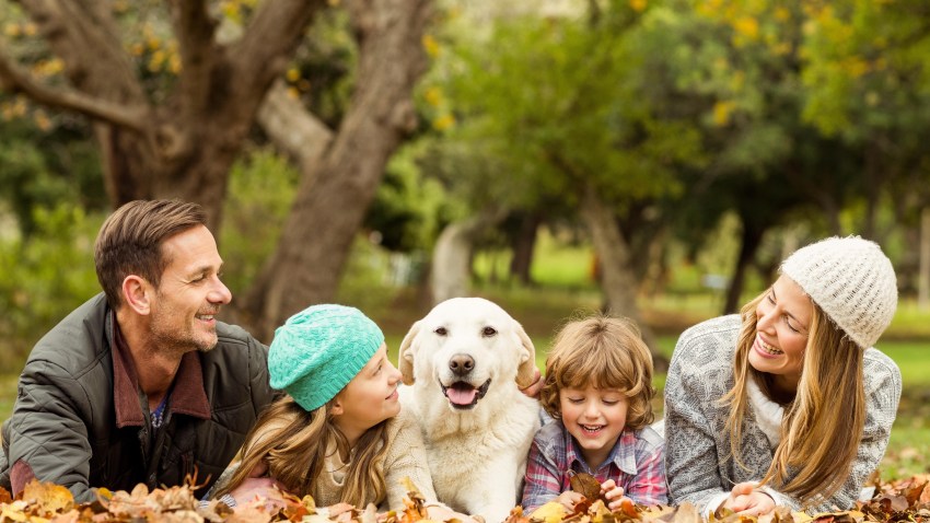 Young family with a dog