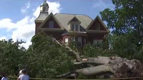 Https Www Nbcboston Com Multimedia Nbc Myr Hlt S4e128 548 Backinmyday 20170626 1498547107321 New York 1983310 Https Media Nbcboston Com 2019 09 Screen Shot 2017 06 27 At 3 28 35 Am Png Fit 1024 2c570 Late Night Presidential