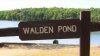 Person pulled from water at Walden Pond