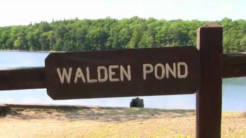 A file photo of Walden Pond