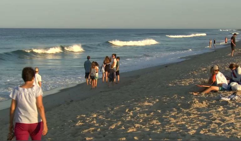 cape cod beach shark