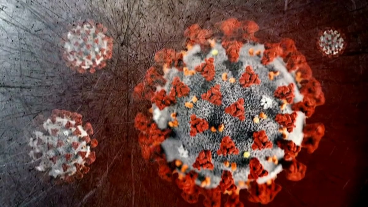 How You Can Help During the Coronavirus Outbreak – NBC Boston
