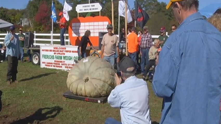 d6e5f2cc-b1a3-4330-a5a3-92292ad66983-large16x9_PUMPKIN